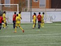 什么球队从未获得，什么球队从未获得世界杯